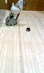 Sanding the Floor